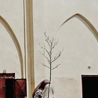 Morocco: Hide 'n Seek Game, Diary of Daily Amaze