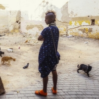 Morocco: Hide 'n Seek Game, Diary of Daily Amaze