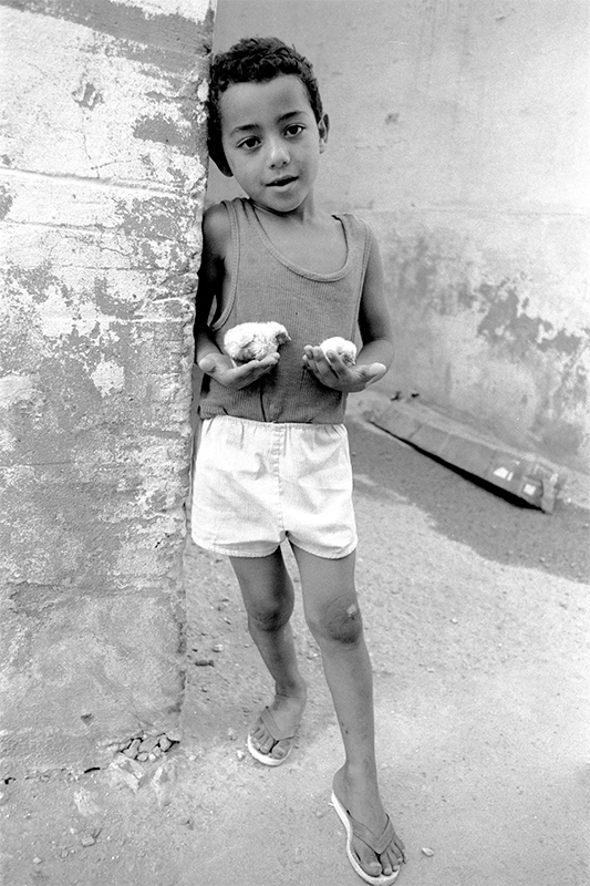 Captured Innocence