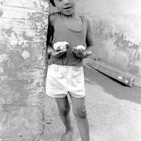 Captured Innocence
