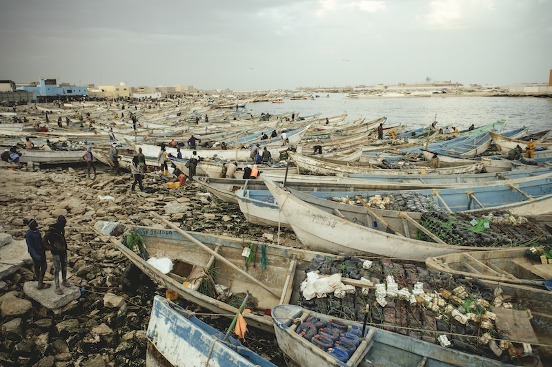 Powdered Oceans – The Cost of Fishmeal in Mauritania