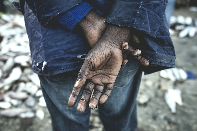 Powdered Oceans – The Cost of Fishmeal in Mauritania