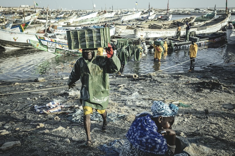 Powdered Oceans – The Cost of Fishmeal in Mauritania