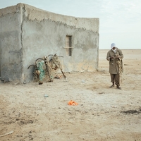 Powdered Oceans – The Cost of Fishmeal in Mauritania