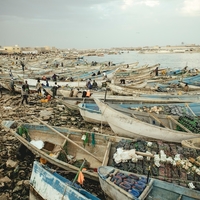 Powdered Oceans – The Cost of Fishmeal in Mauritania