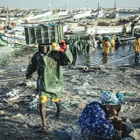 Powdered Oceans – The Cost of Fishmeal in Mauritania