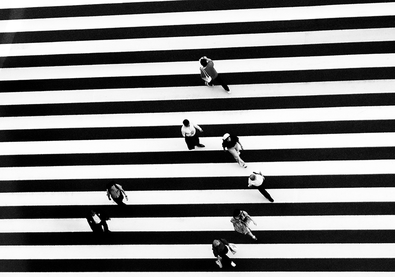 Tokyo Grid