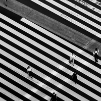 Tokyo Grid