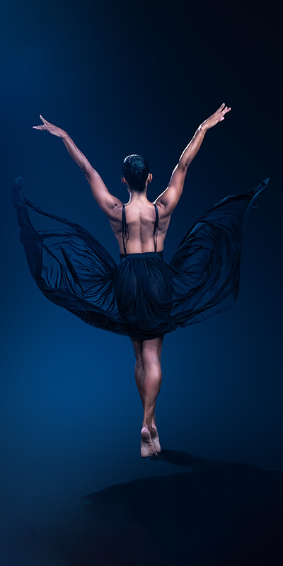 Laetitia,The Butterfly
