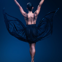 Laetitia,The Butterfly