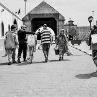 Chroniques de l’ordinaire