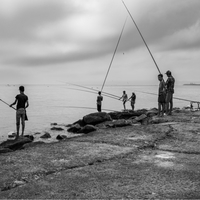 Chroniques de l’ordinaire