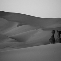 Le Sahara des merveilles