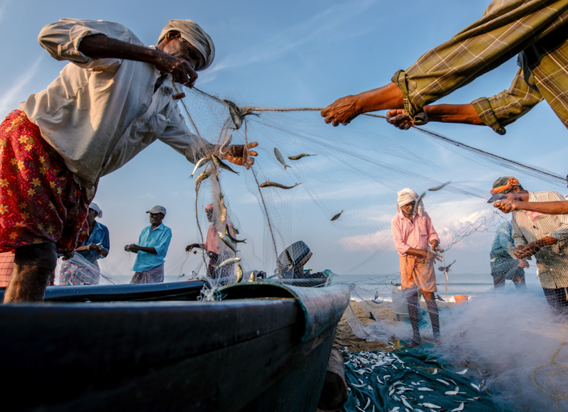 Fishermen’s catch
