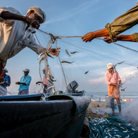 Fishermen’s catch