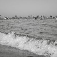 Chroniques du rivage