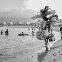 Chroniques du rivage