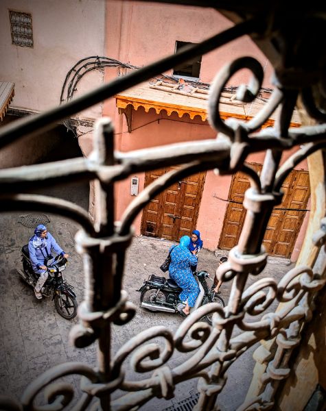 De l'autre côté du grillage. Médina de Marrakech, août 2023.