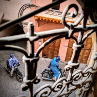 De l'autre côté du grillage. Médina de Marrakech, août 2023.