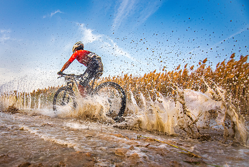 Desert Race