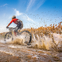 Desert Race