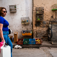 Streets of Tunisia
