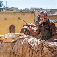 The Artisans of Chouara