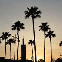 La Lumière de la Ville