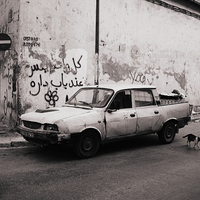 وجوه الجزائر 