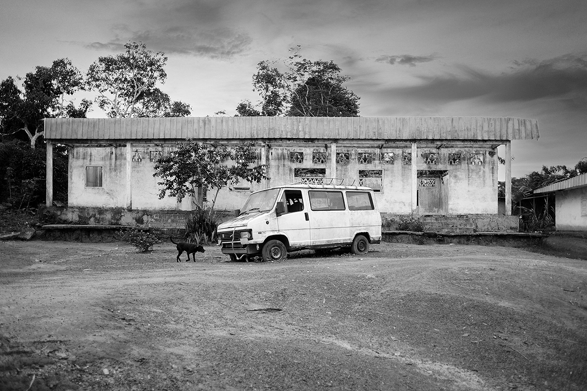 Cameroun - camion et chien