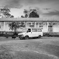 Cameroun - camion et chien