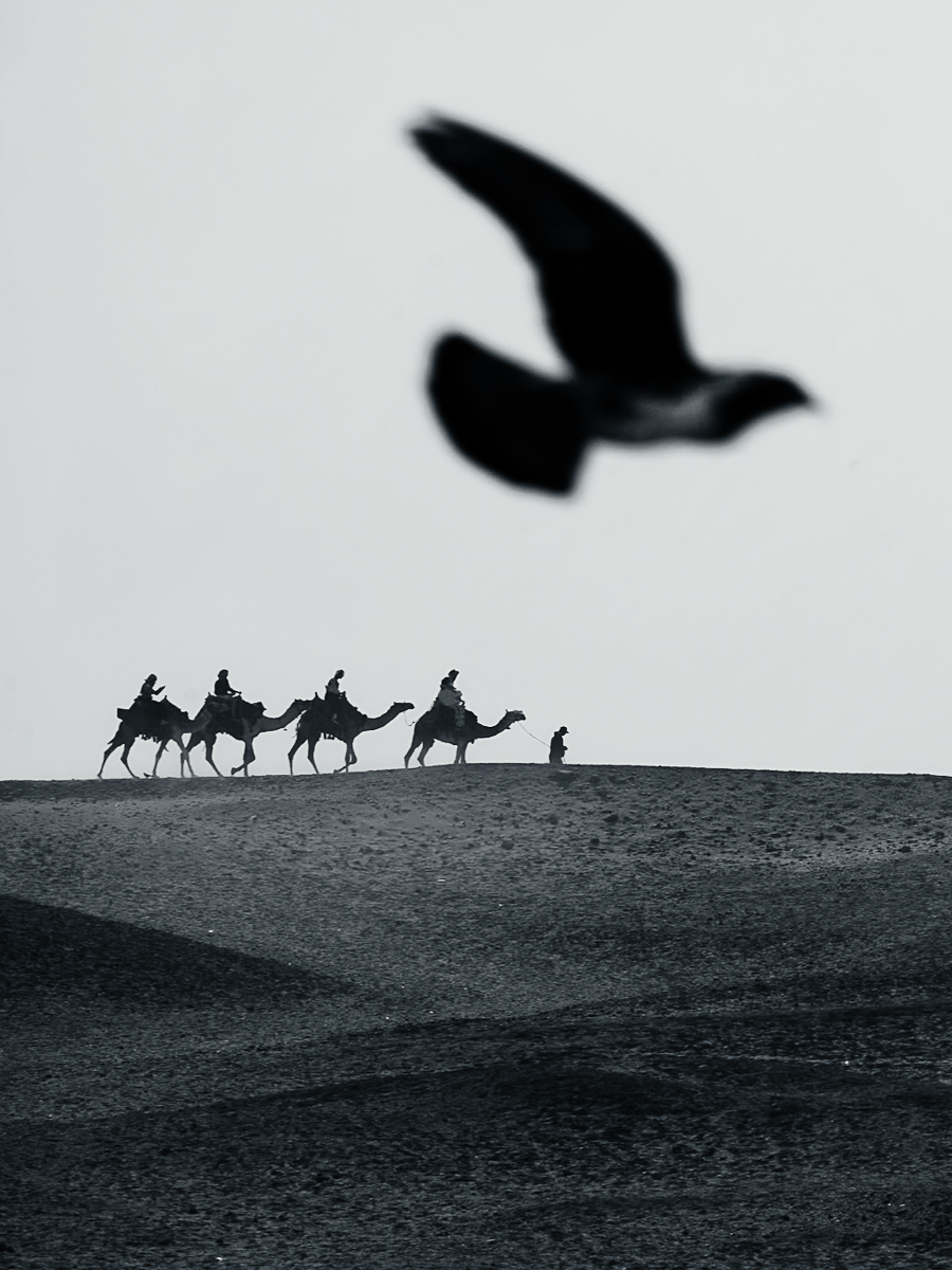 Ages of sand 