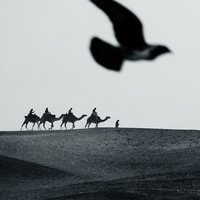 Ages of sand 
