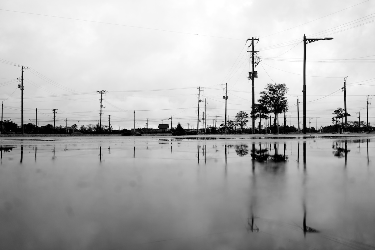 Silent Witnesses: Fukushima 2011–2026