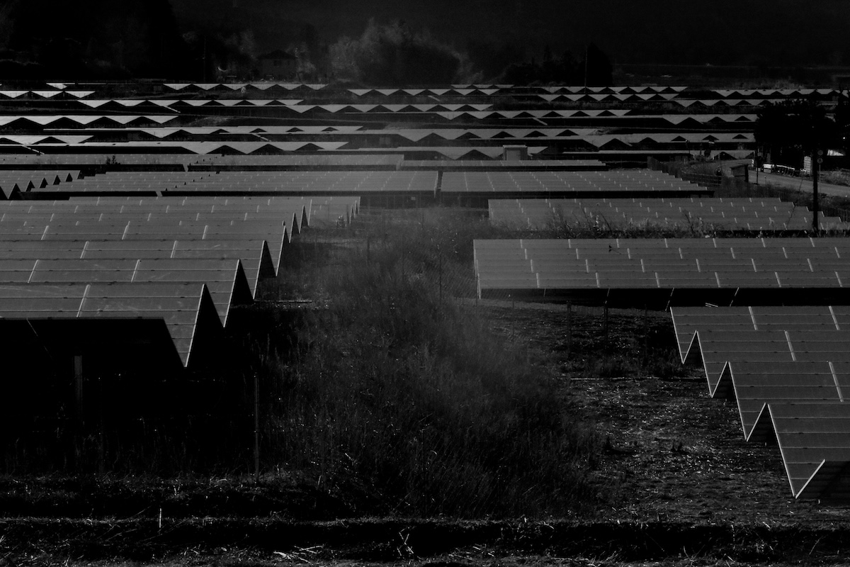 Silent Witnesses: Fukushima 2011–2026