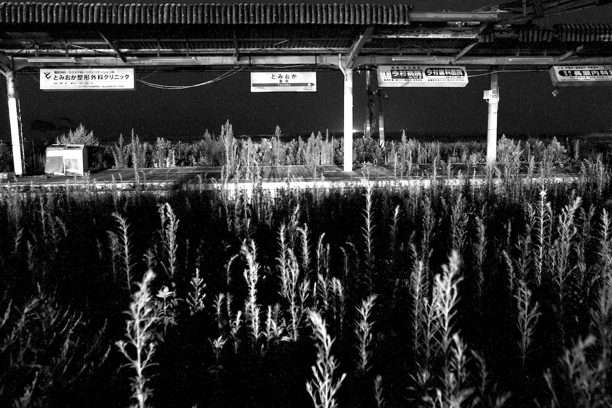 Silent Witnesses: Fukushima 2011–2026