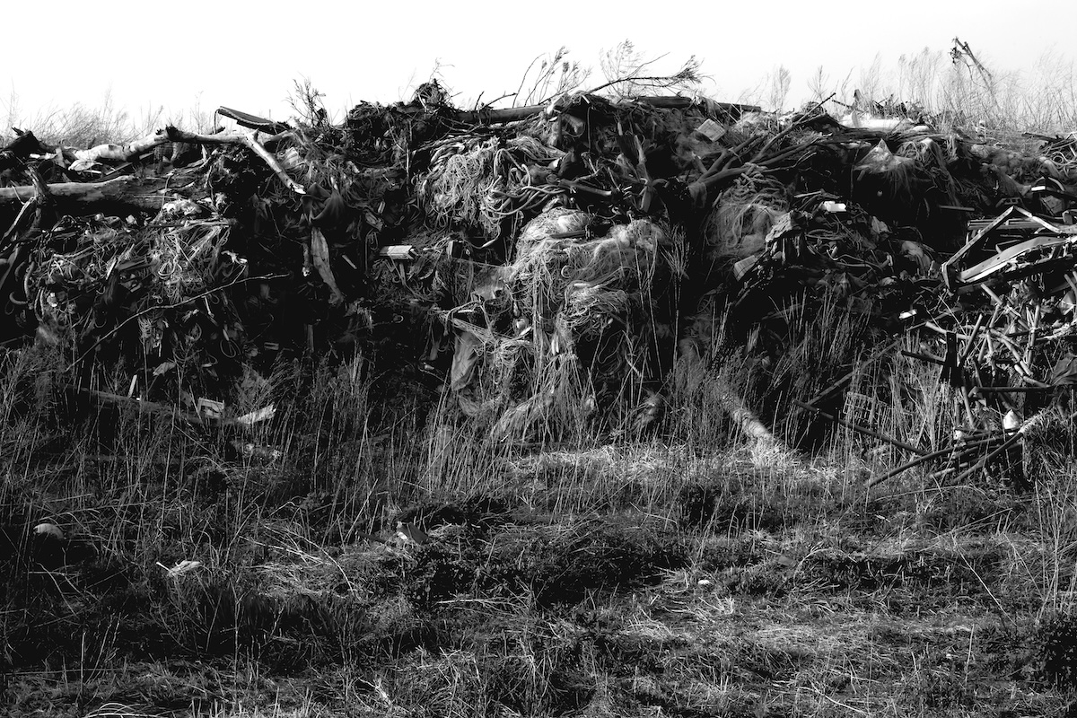 Silent Witnesses: Fukushima 2011–2026