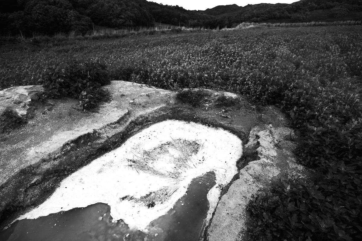Silent Witnesses: Fukushima 2011–2026