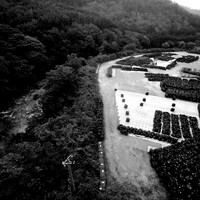 Silent Witnesses: Fukushima 2011–2026
