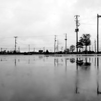 Silent Witnesses: Fukushima 2011–2026