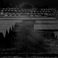 Silent Witnesses: Fukushima 2011–2026