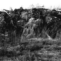 Silent Witnesses: Fukushima 2011–2026