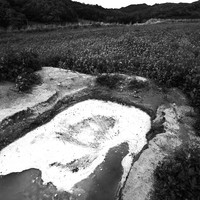 Silent Witnesses: Fukushima 2011–2026