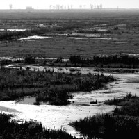 Silent Witnesses: Fukushima 2011–2026