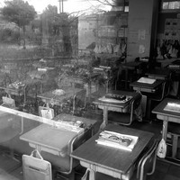 Silent Witnesses: Fukushima 2011–2026