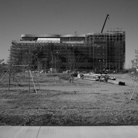 Silent Witnesses: Fukushima 2011–2026
