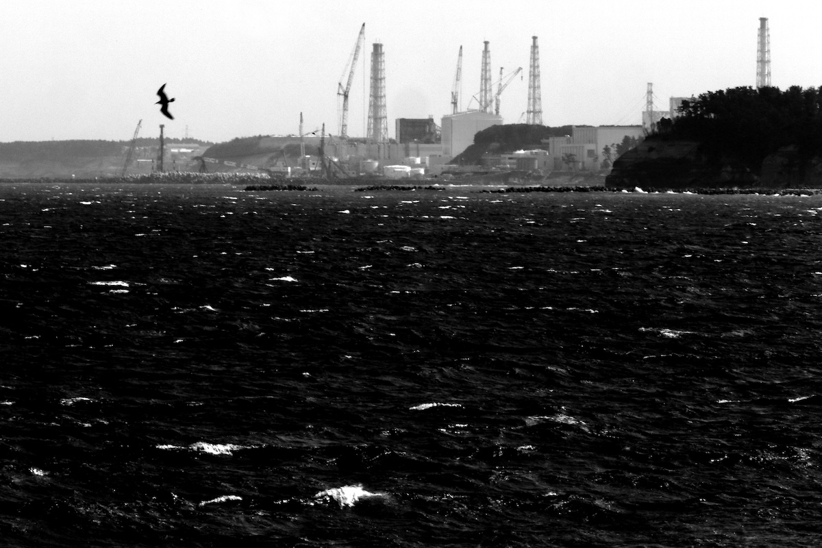 Silent Witnesses: Fukushima 2011–2026