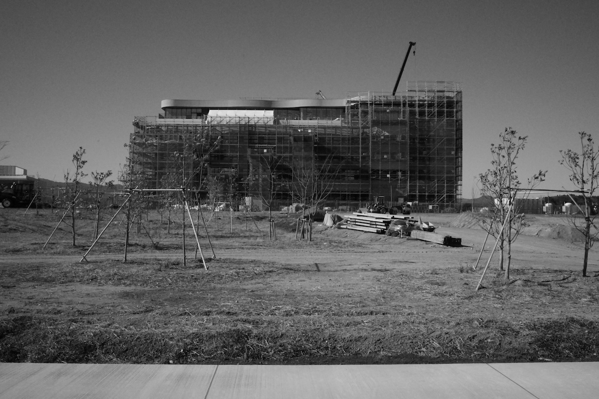Silent Witnesses: Fukushima 2011–2026