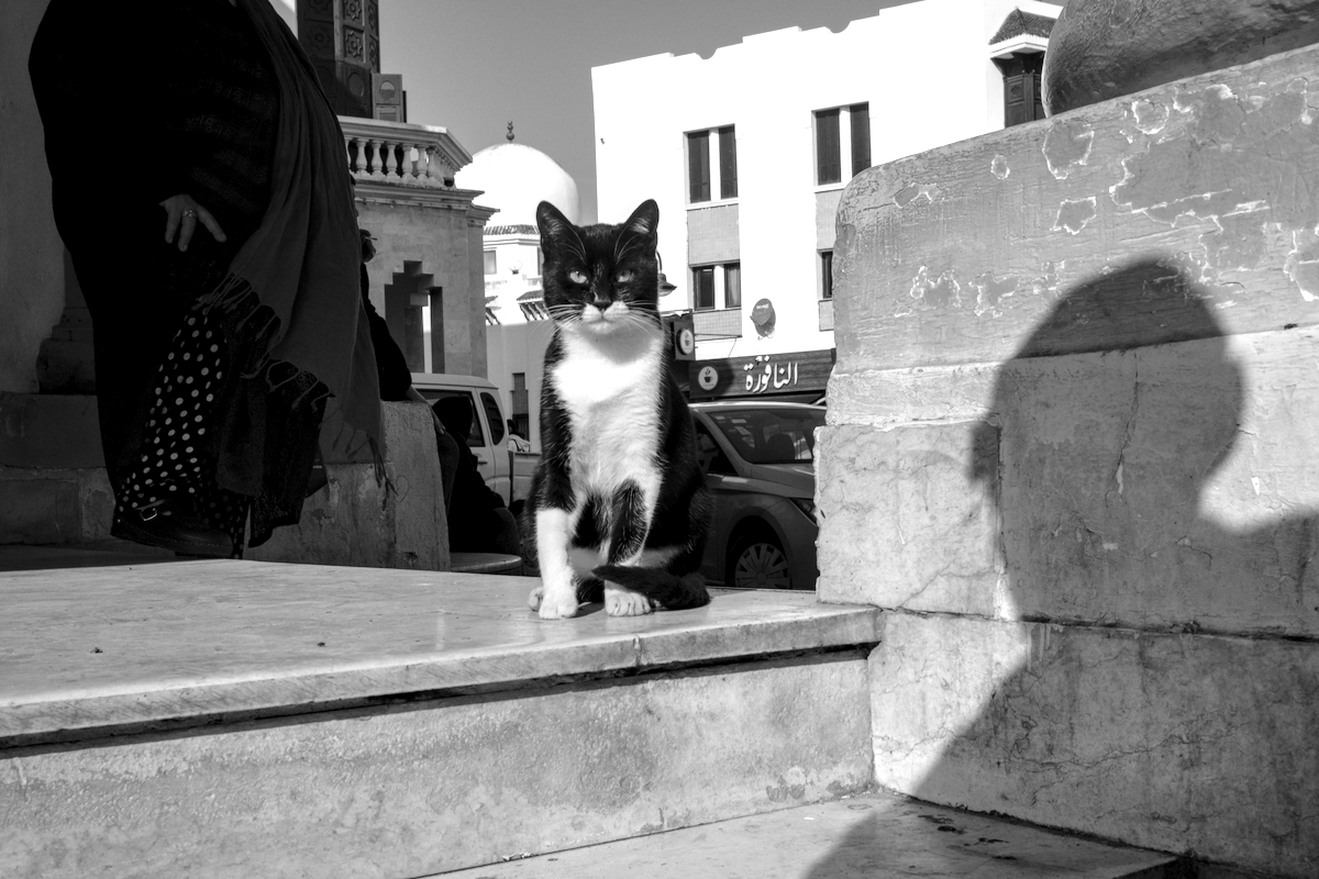 Tunis Central