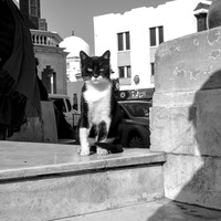 Tunis Central